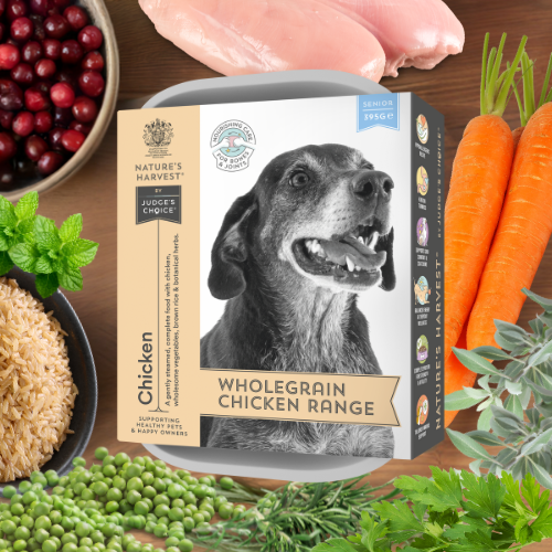 Chicken & Vegetables with Brown Rice - Senior - The Bark Market