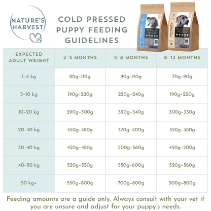 Cold Pressed Chicken and Sweet Potato 3KG Hypoallergenic Dog Food - Raw Made Easy