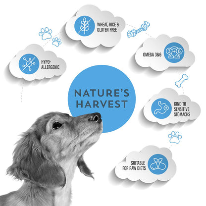 Cold Pressed Ocean Fish and Sweet Potato 3KG Hypoallergenic Dog Food - Raw Made Easy - The Bark Market