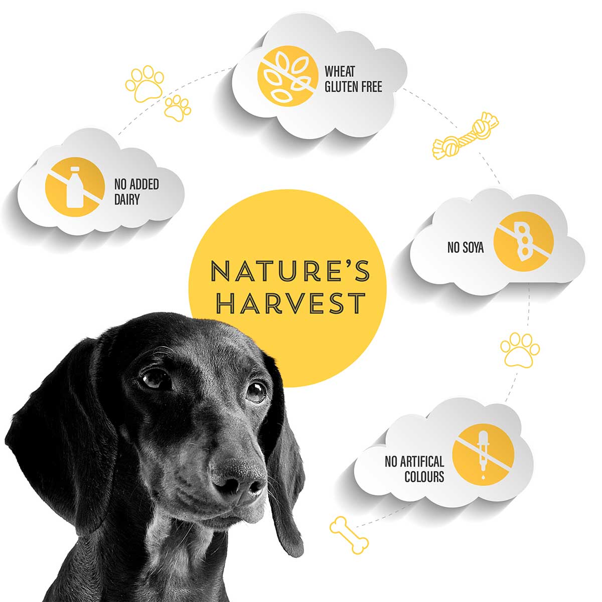 Grain Free Chicken & Sweet Potato - Adult