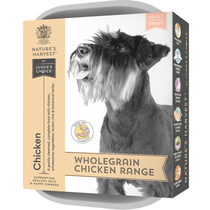 Chicken & Vegetables with Brown Rice Wet Dog Food - Adult - The Bark Market