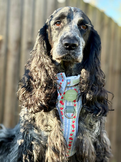 Eden's Orchard -  Supaw Strong™ Dog Harness (XS-XL) - The Bark Market