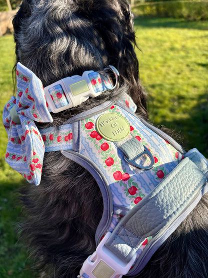 Eden's Orchard -  Supaw Strong™ Dog Harness (XS-XL) - The Bark Market