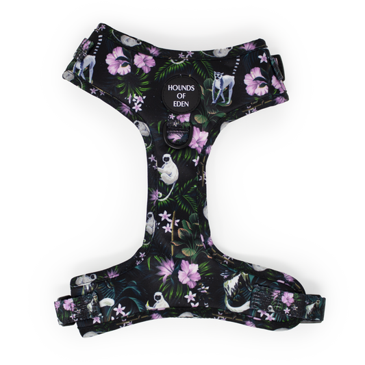 Midnight Madagascar Design Dog Harness - The Bark Market