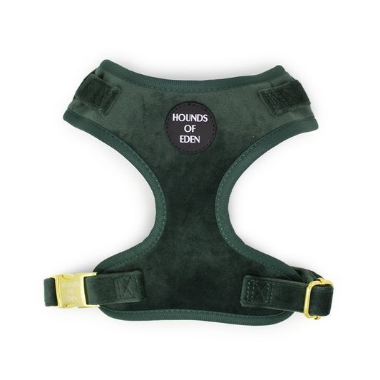 Olive Green Velvet Harness - The Bark Market