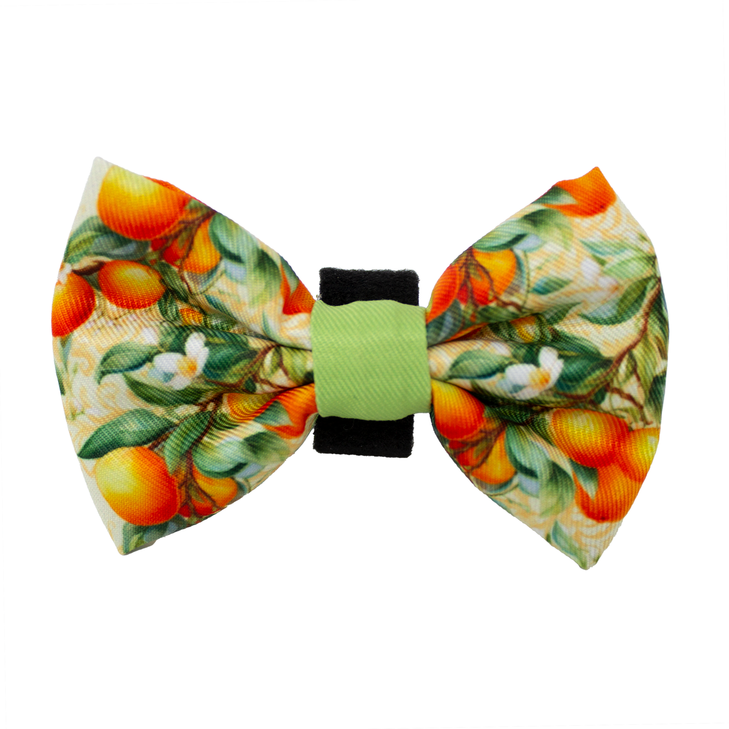Simply the Zest - Oranges Dog Bow Tie - The Bark Market