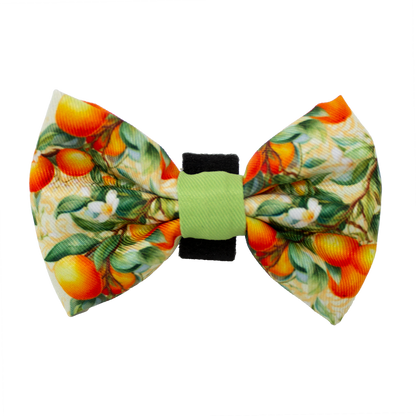 Simply the Zest - Oranges Dog Bow Tie - The Bark Market