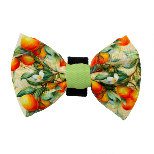 Simply the Zest - Oranges Dog Bow Tie - The Bark Market