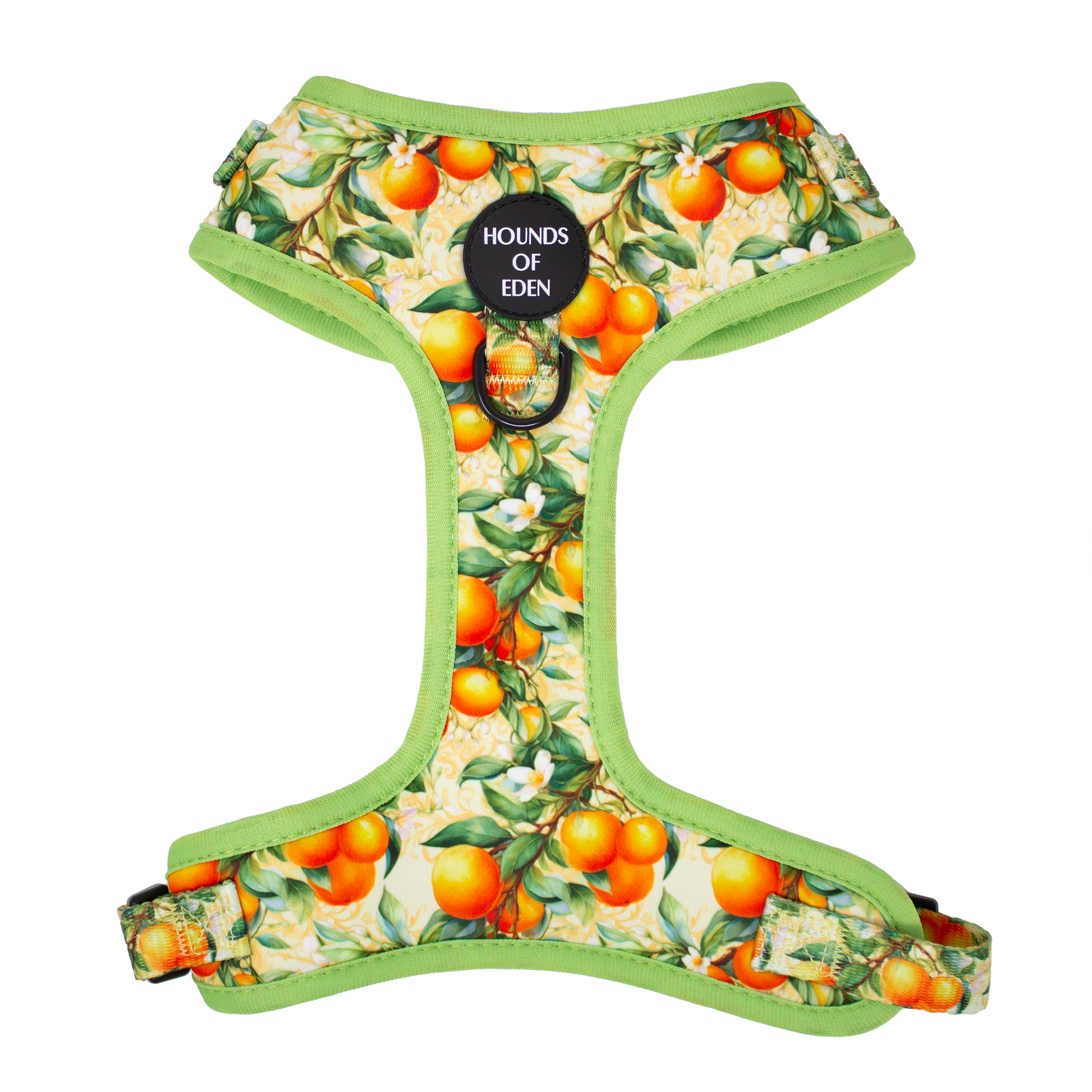Simply the Zest - Oranges Dog Harness - The Bark Market