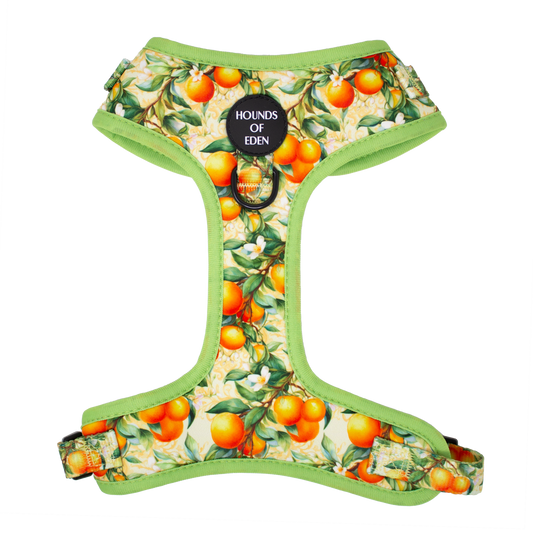 Simply the Zest - Oranges Dog Harness - The Bark Market