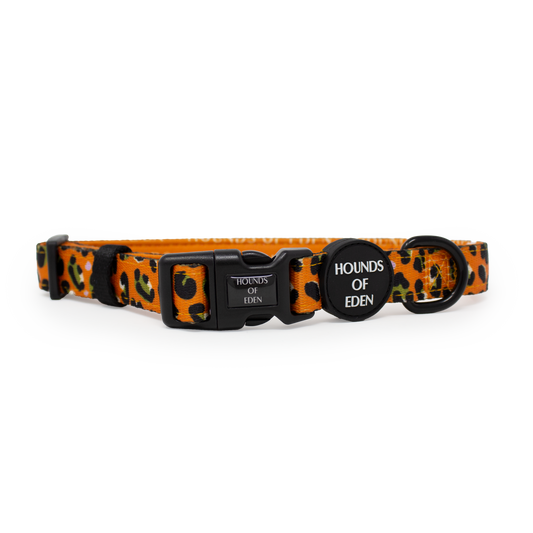 Burnt Orange Leopard Design Dog Collar - The Bark Market