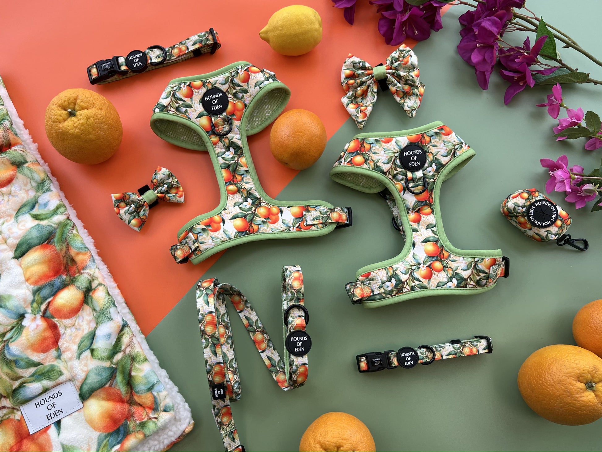 Simply the Zest - Oranges Dog Harness - The Bark Market