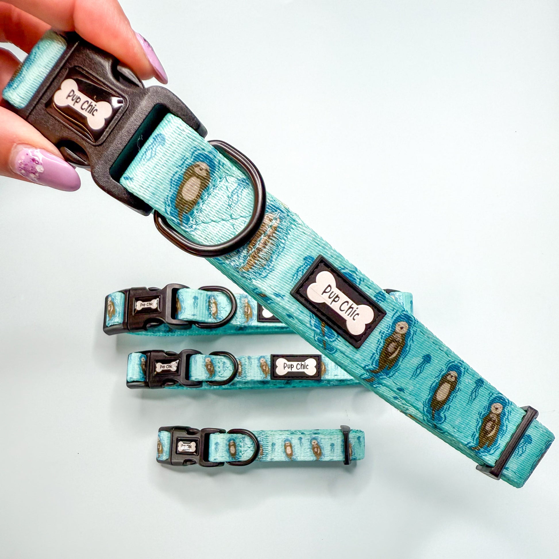 Otterly Lovely Dog Collar 🦦💙 - The Bark Market