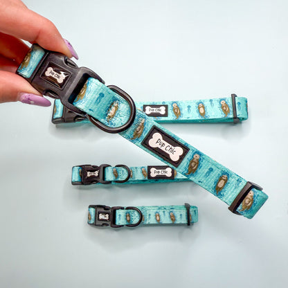 Otterly Lovely Dog Collar 🦦💙 - The Bark Market