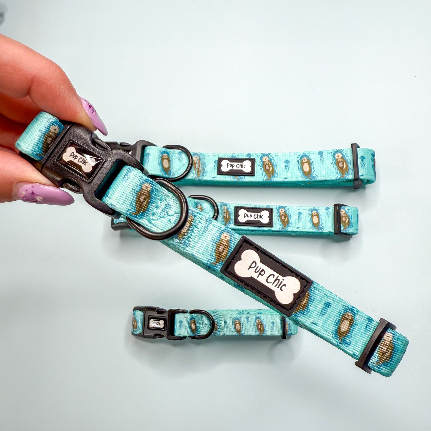 Otterly Lovely Dog Collar 🦦💙 - The Bark Market
