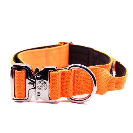 4cm Nylon BTactical™ Collar | Citrus Orange - The Bark Market