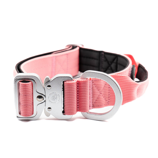 4cm Nylon BTactical™ Collar | Pretty Pink - NEW - The Bark Market