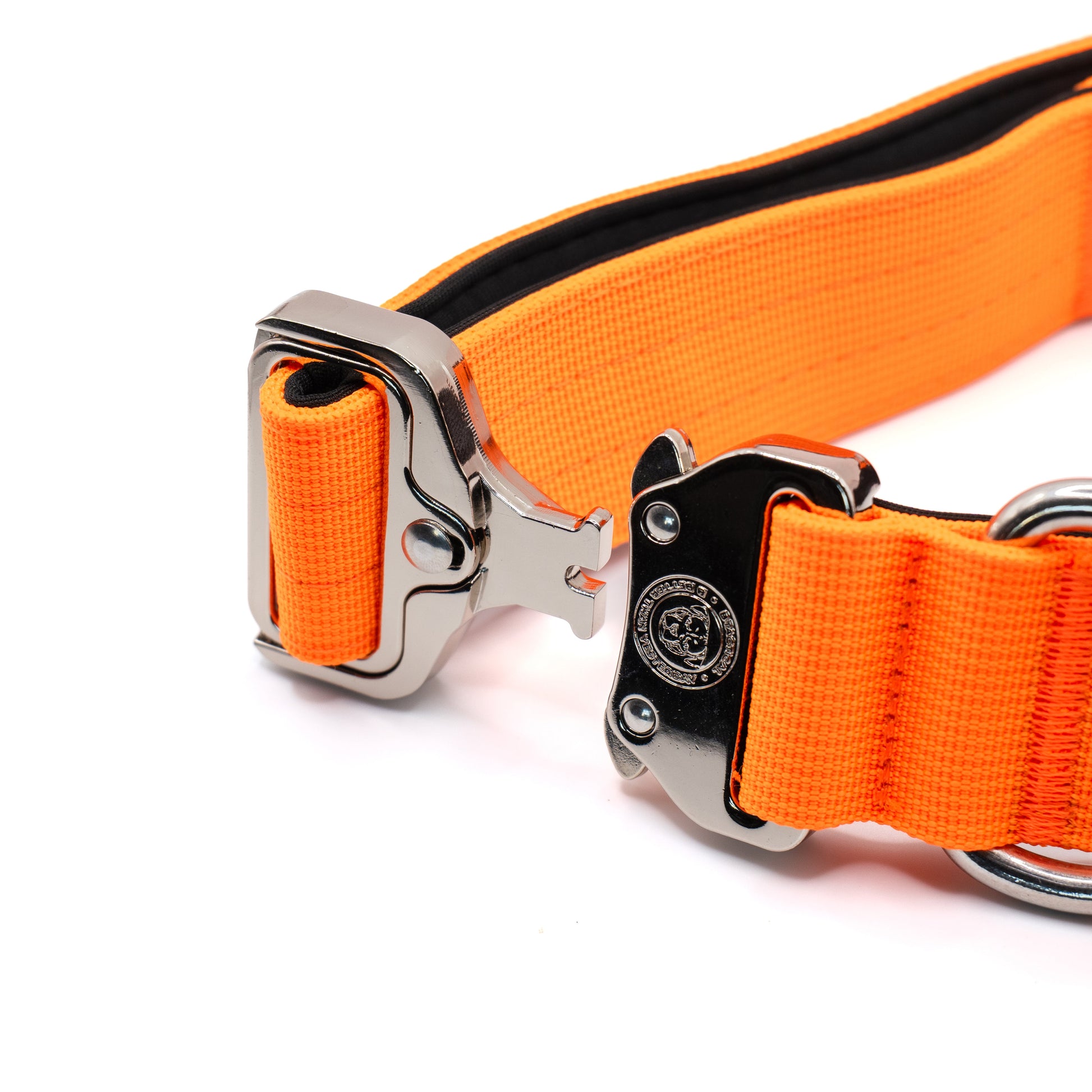 4cm Nylon BTactical™ Collar | Citrus Orange - The Bark Market