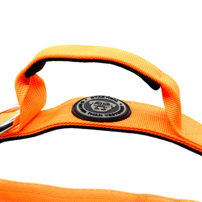 4cm Nylon BTactical™ Collar | Citrus Orange - The Bark Market