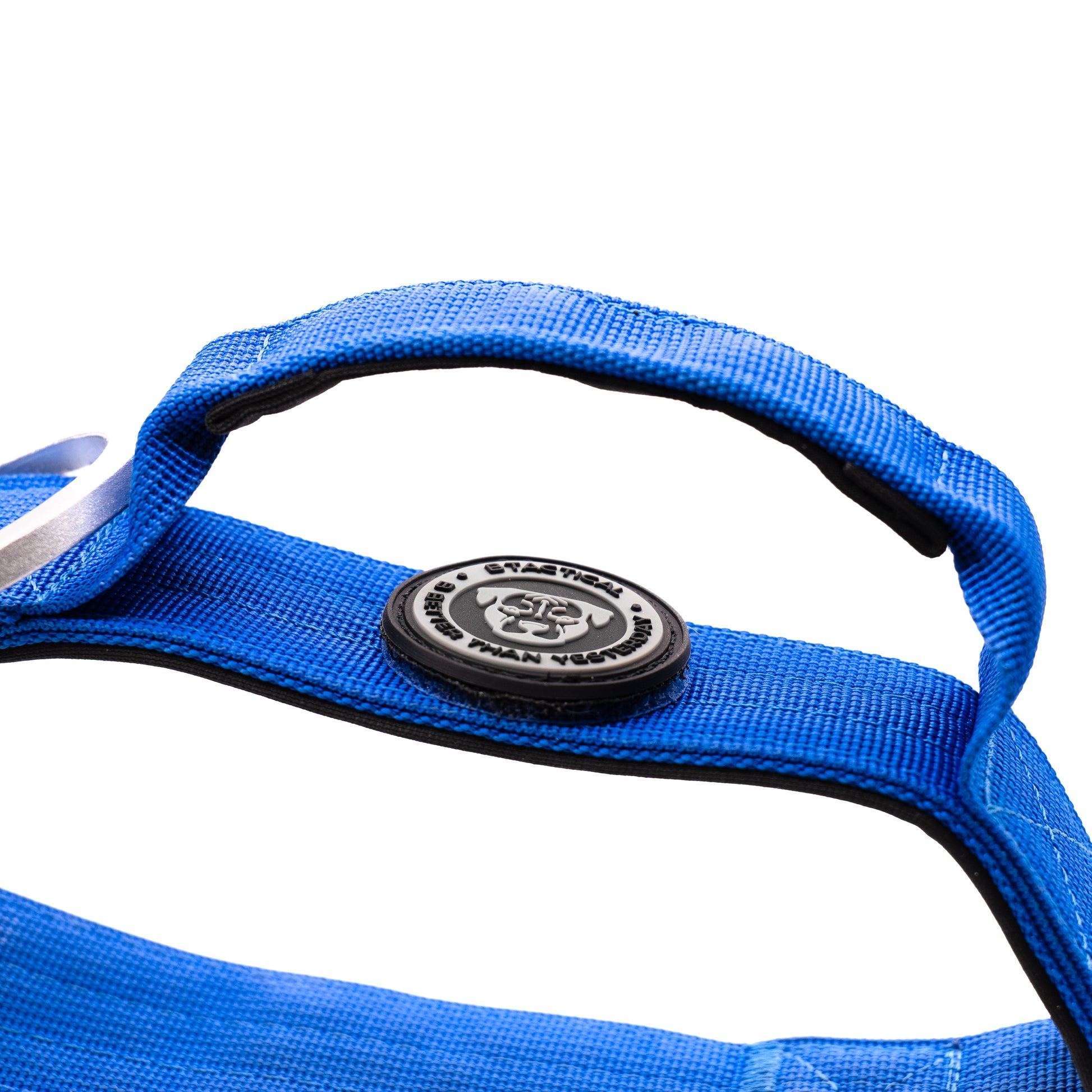 4cm Nylon BTactical™ Collar | Royal Blue - The Bark Market