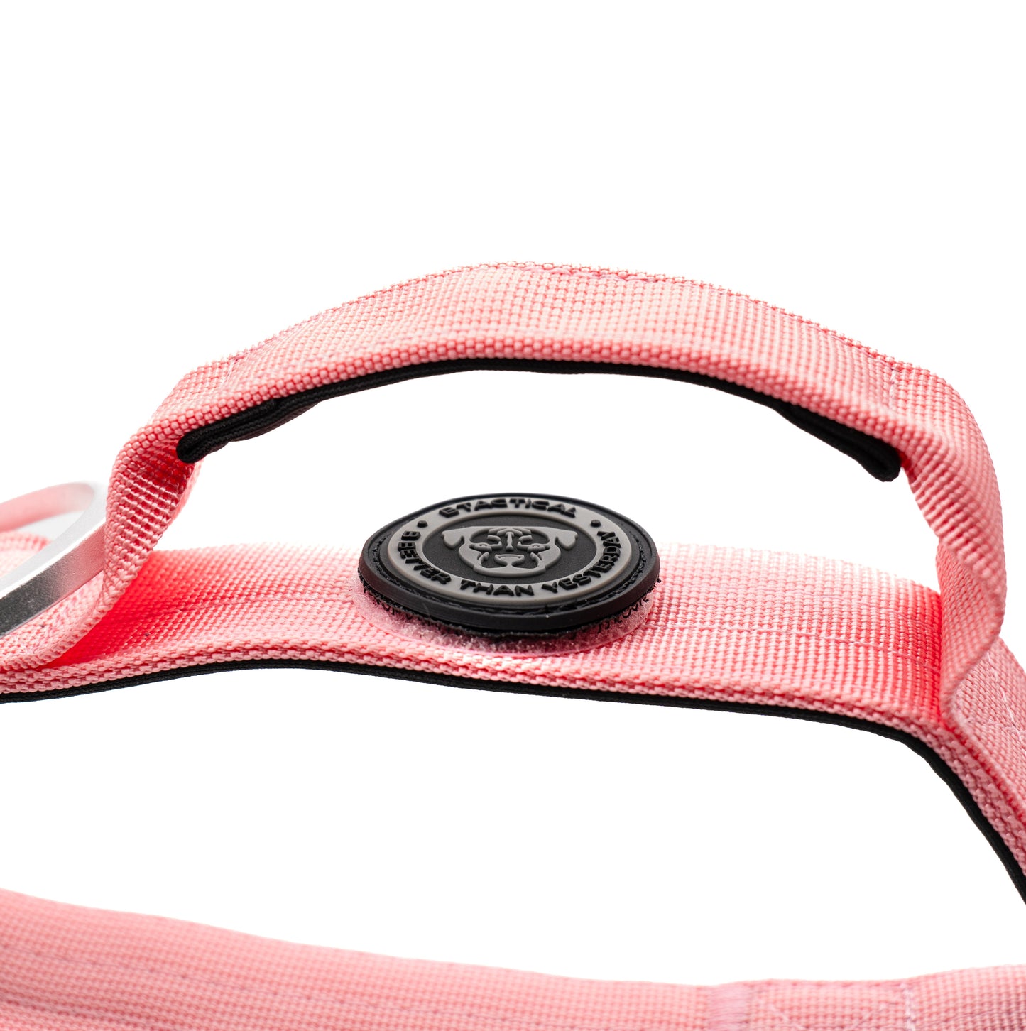 4cm Nylon BTactical™ Collar | Pretty Pink - NEW - The Bark Market