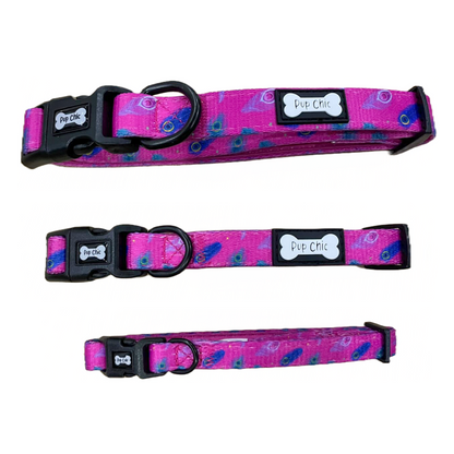 Peacock Power Dog Collar: Stylish, Durable, and Comfortable for Your Dog - The Bark Market
