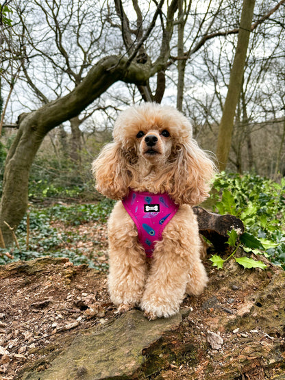 Peacock Power Adjustable Dog Harness - hot pink peacock feather dog harness - The Bark Market