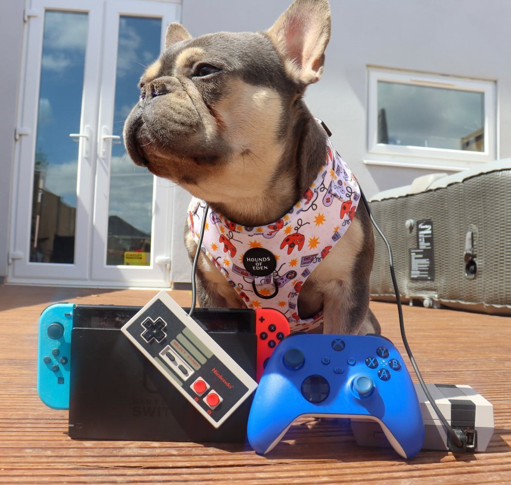 Nintendawg Design Dog Harness - The Bark Market