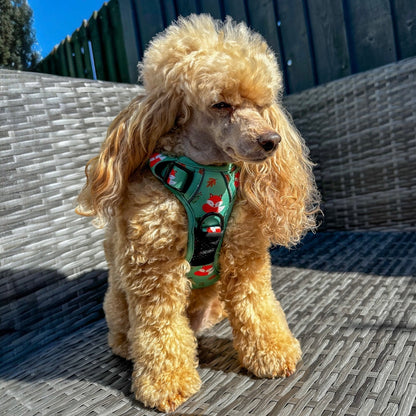 Inquisitive Fox No Pull Tactical Dog Harness – Green Fox Print, Adjustable, Step-In (XS-XL) - The Bark Market