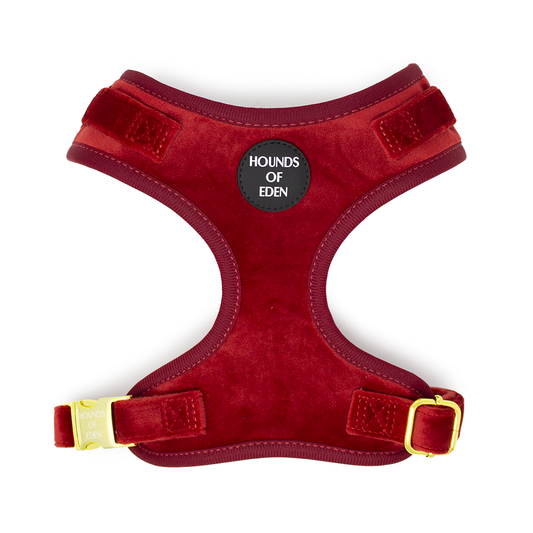 Ruby Red Velvet Harness - The Bark Market