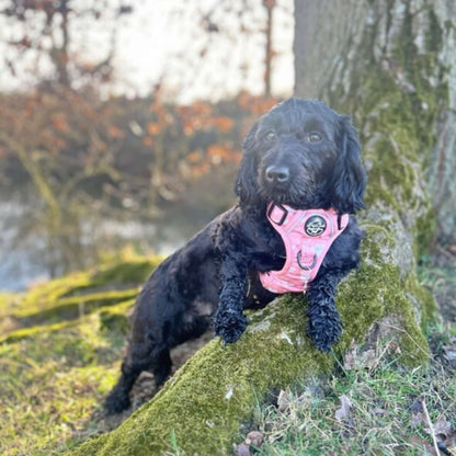 Rugged Rover™ Harness - Peachy Hearts - The Bark Market