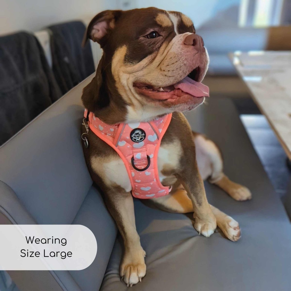 Rugged Rover™ Harness - Peachy Hearts - The Bark Market