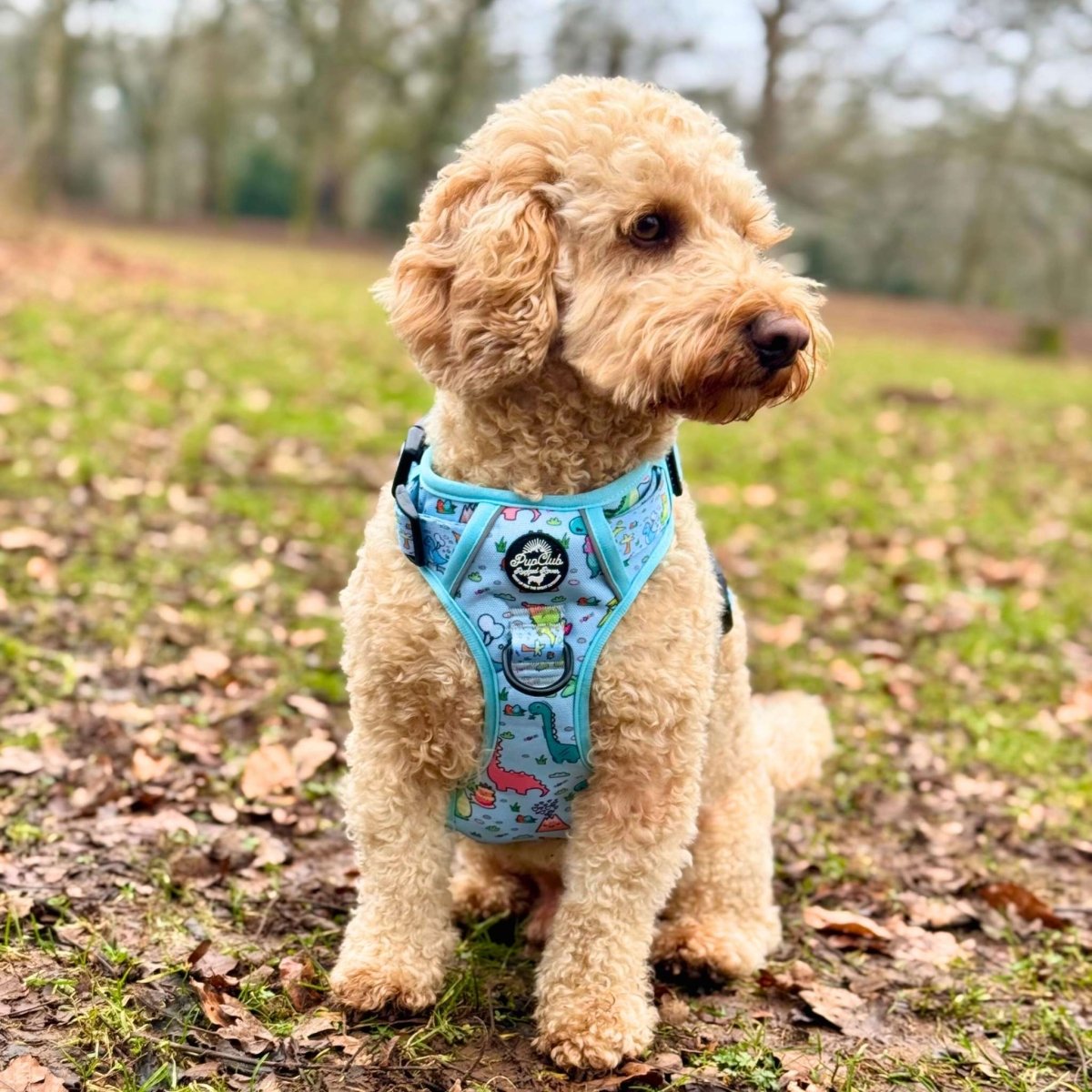 Rugged Rover™ Harness - Jurassic Party - The Bark Market