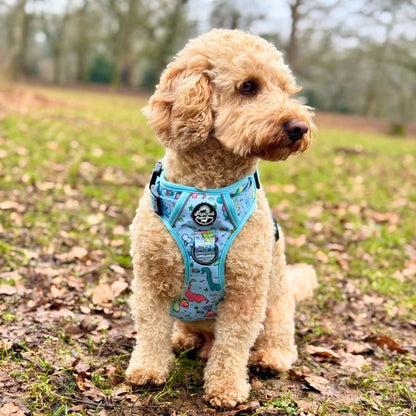 Rugged Rover™ Harness - Jurassic Party - The Bark Market