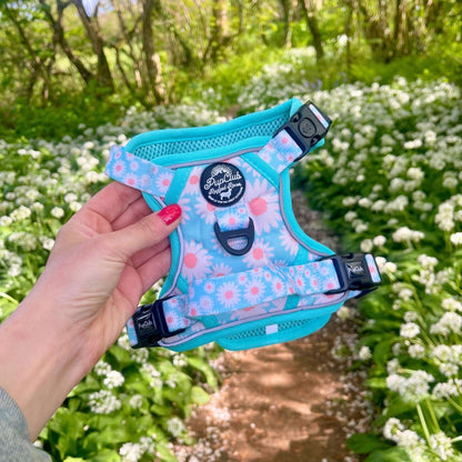 Rugged Rover™ Harness - Pastel Daisy - The Bark Market