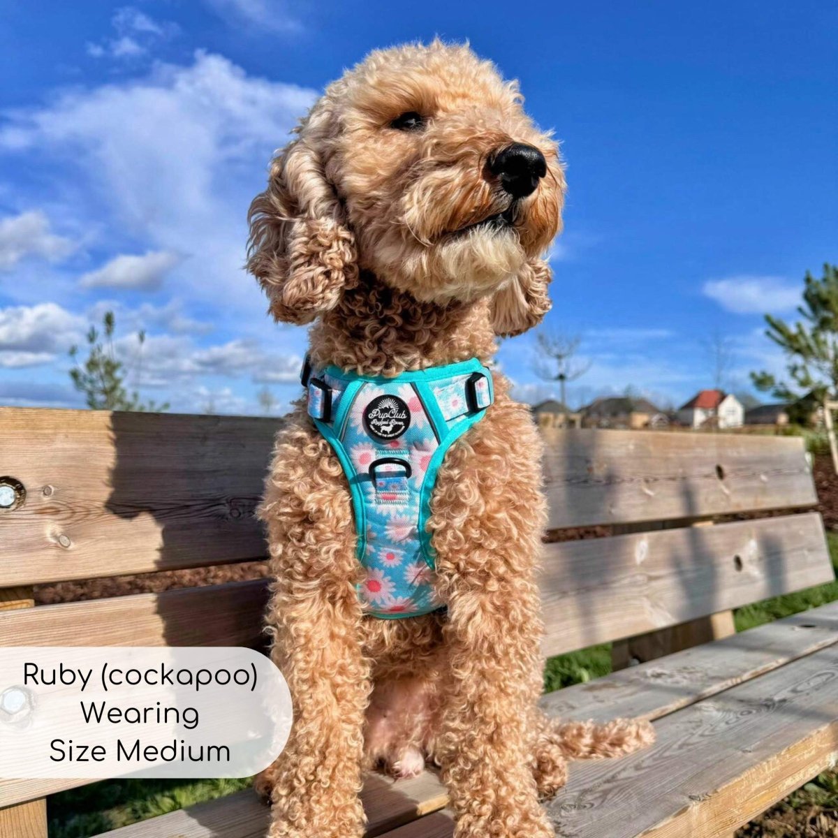 Rugged Rover™ Harness - Pastel Daisy - The Bark Market