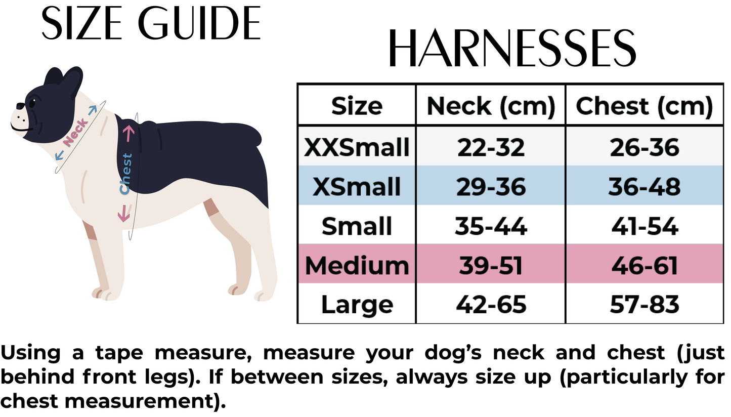 Teddy it's Cold Outside - Dog Harness - The Bark Market