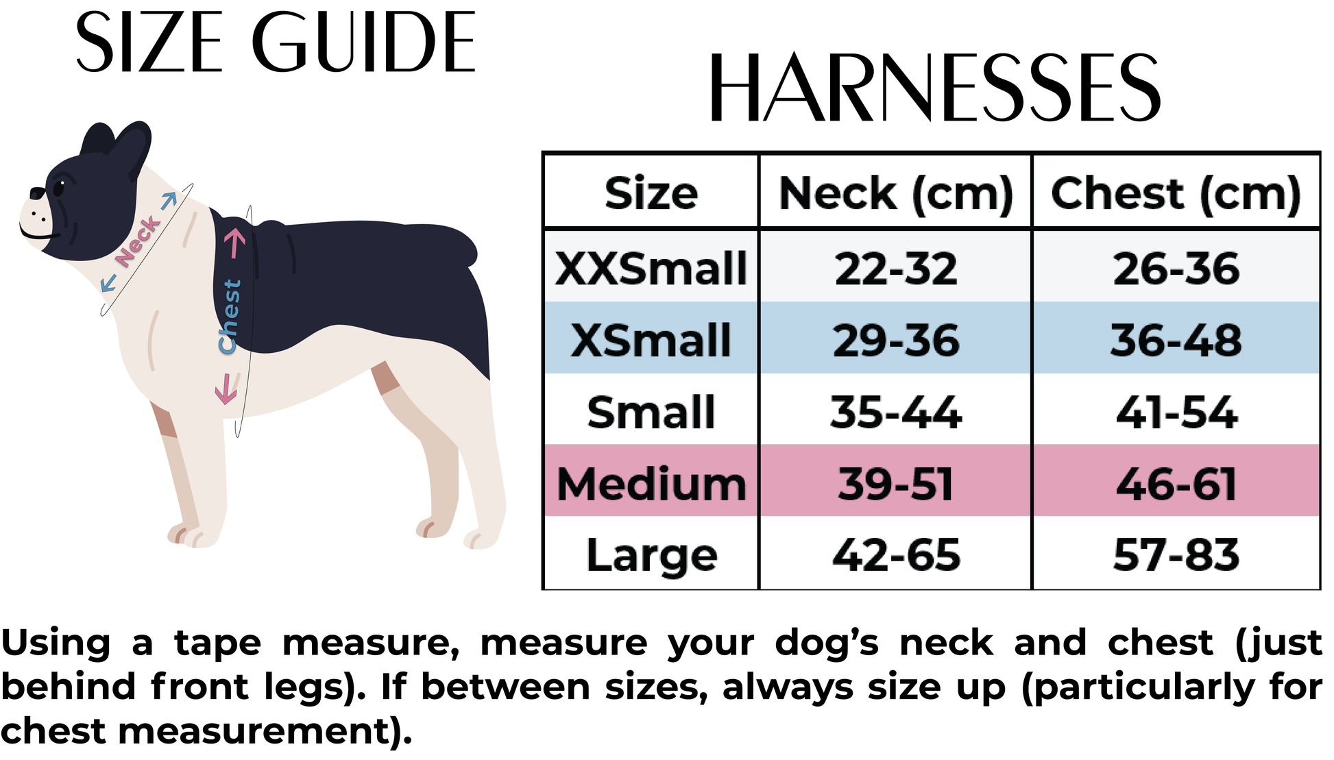Teddy it's Cold Outside - Dog Harness - The Bark Market