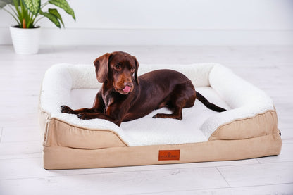 The Belgravia Orthopaedic Dog Sofa™ - Medium