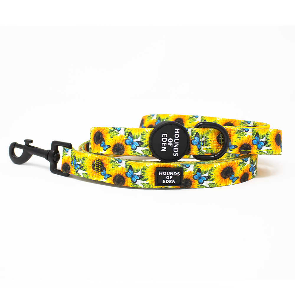 Sunflower Flutter - Yellow and Blue Dog Lead - The Bark Market