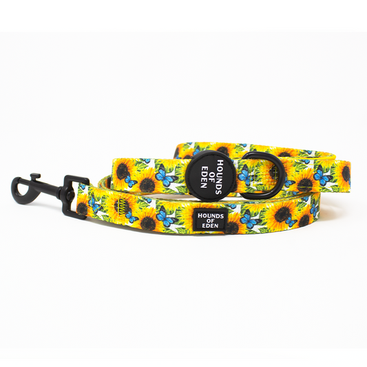 Sunflower Flutter - Yellow and Blue Dog Lead - The Bark Market