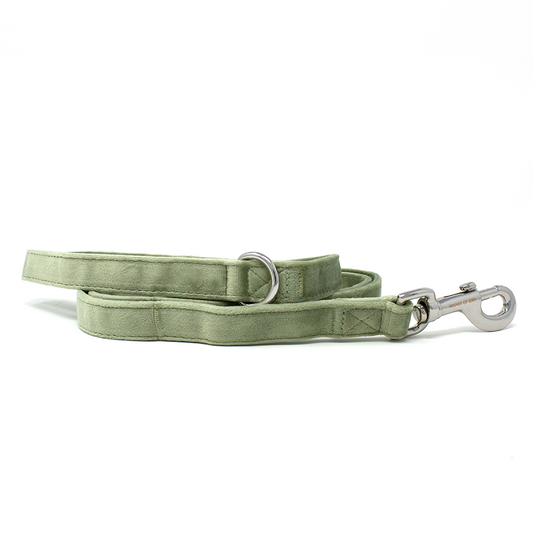 Sage Mist - Green Velvet Dog Lead with Silver Hardware - The Bark Market