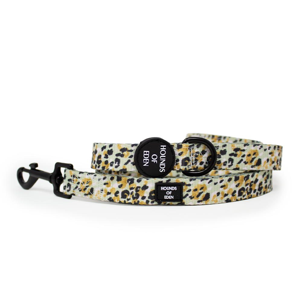 Sage Leopard Design Dog Harness - The Bark Market