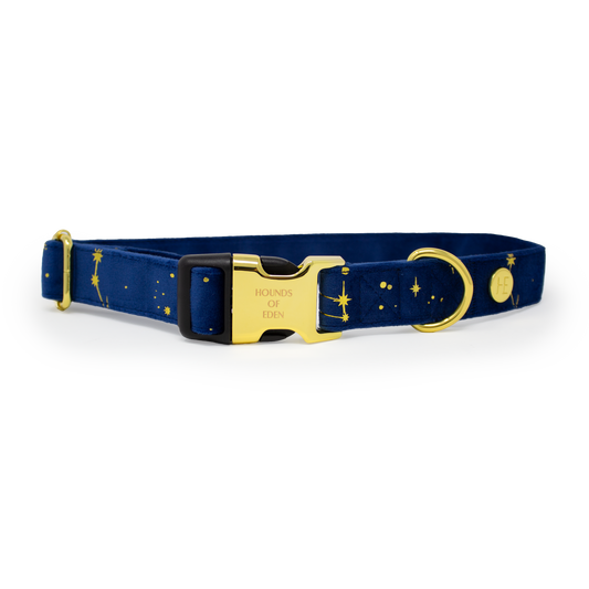Sapphire Stars Velvet Collar - The Bark Market