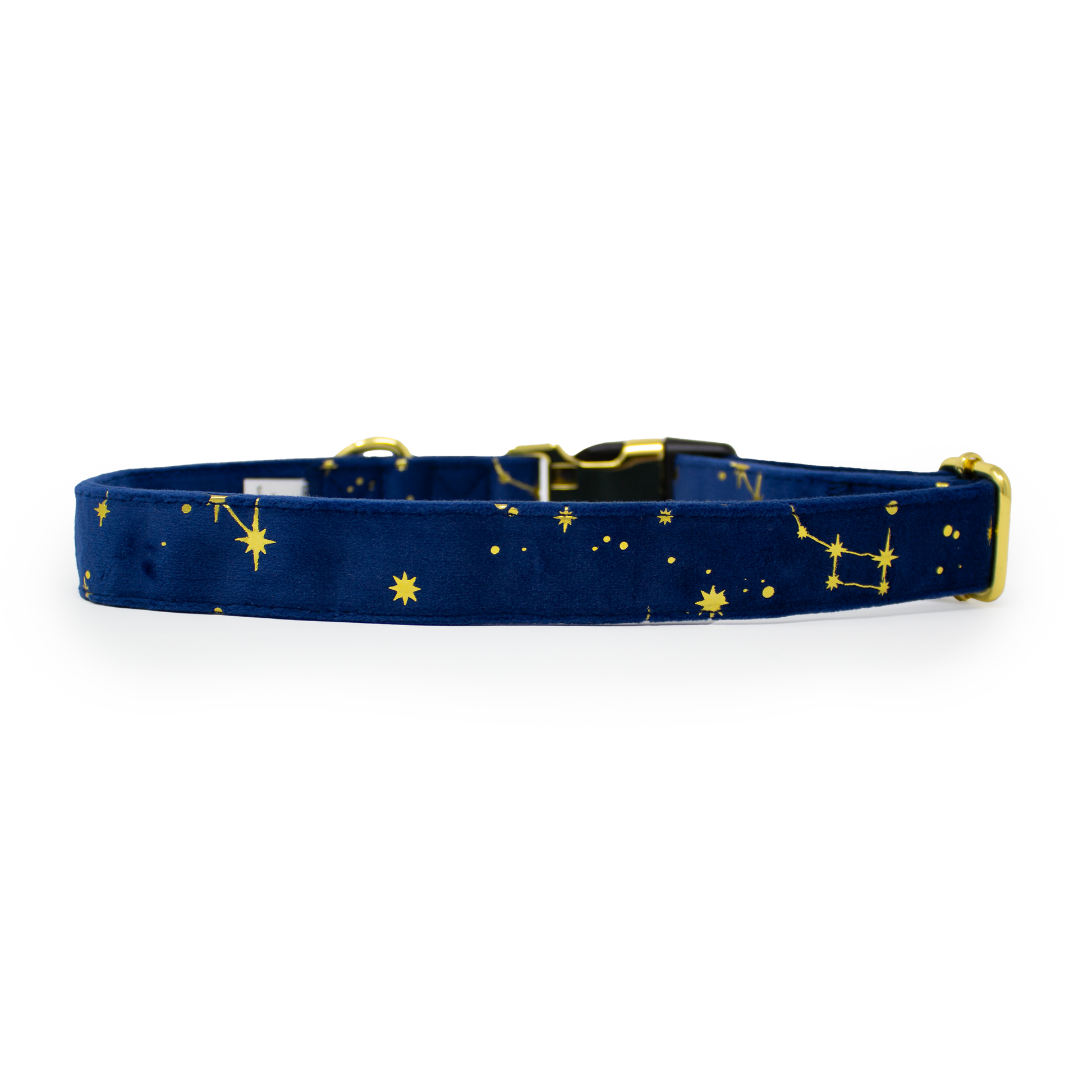 Sapphire Stars Velvet Harness - The Bark Market