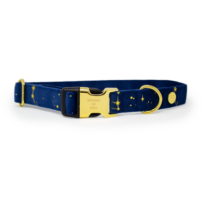 Sapphire Stars Velvet Harness - The Bark Market