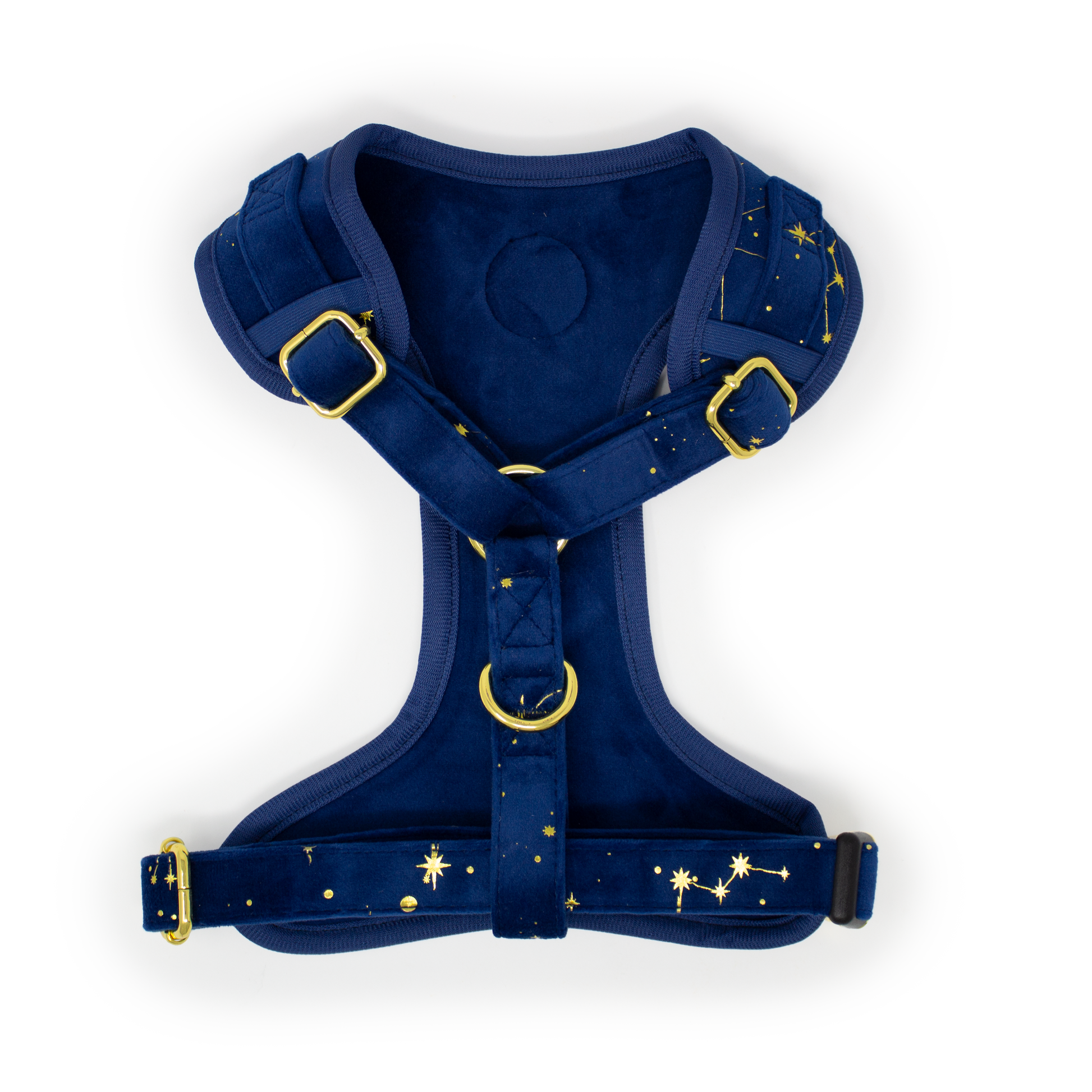 Sapphire Stars Velvet Harness - The Bark Market