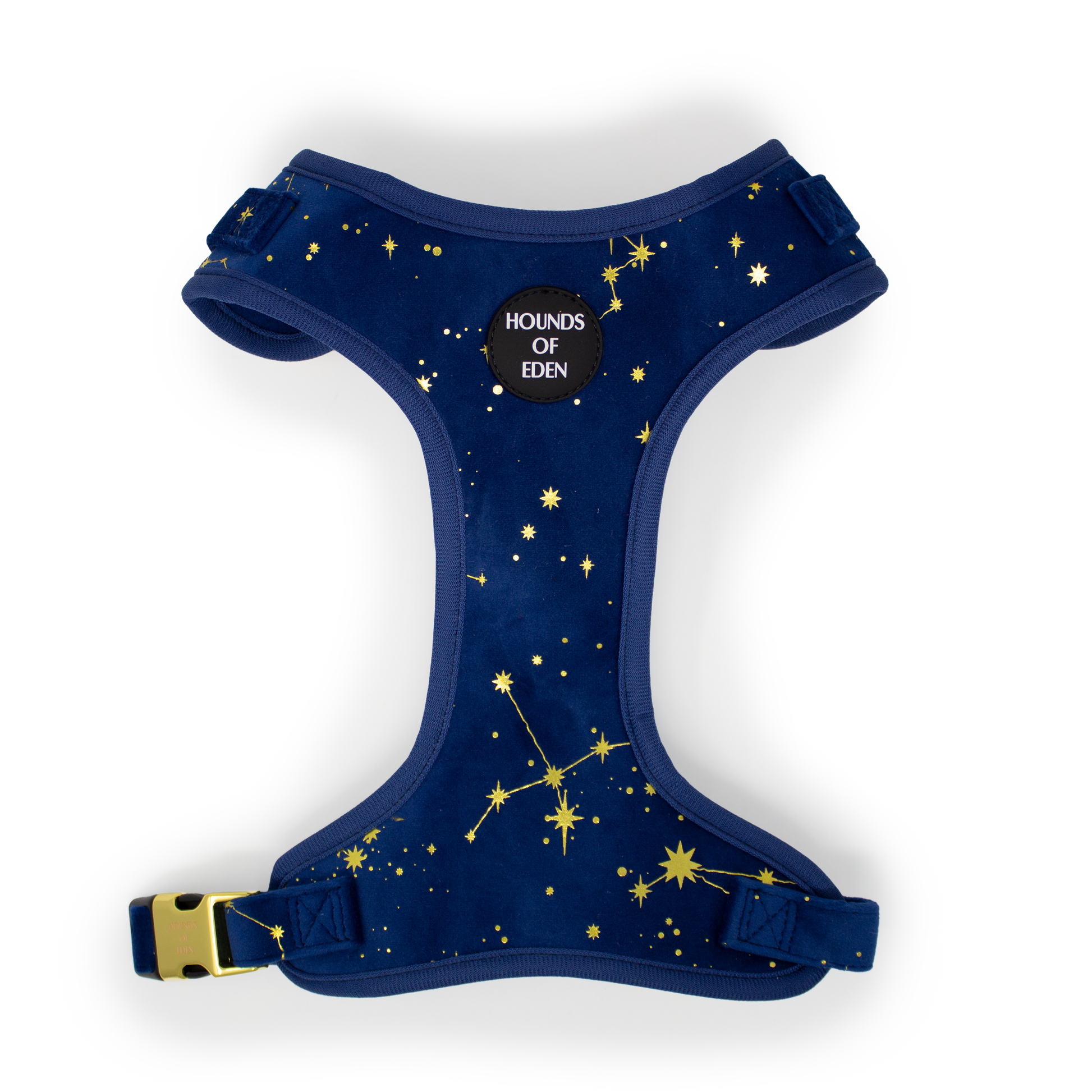 Sapphire Stars Velvet Harness - The Bark Market