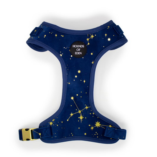 Sapphire Stars Velvet Harness - The Bark Market