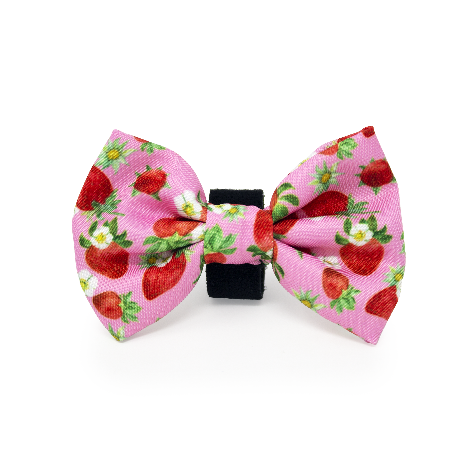 Strawberry Patch Design Dog Harness - The Bark Market